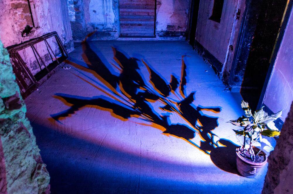 LIT Lighting Design Awards A conversation with Massimiliano Moro