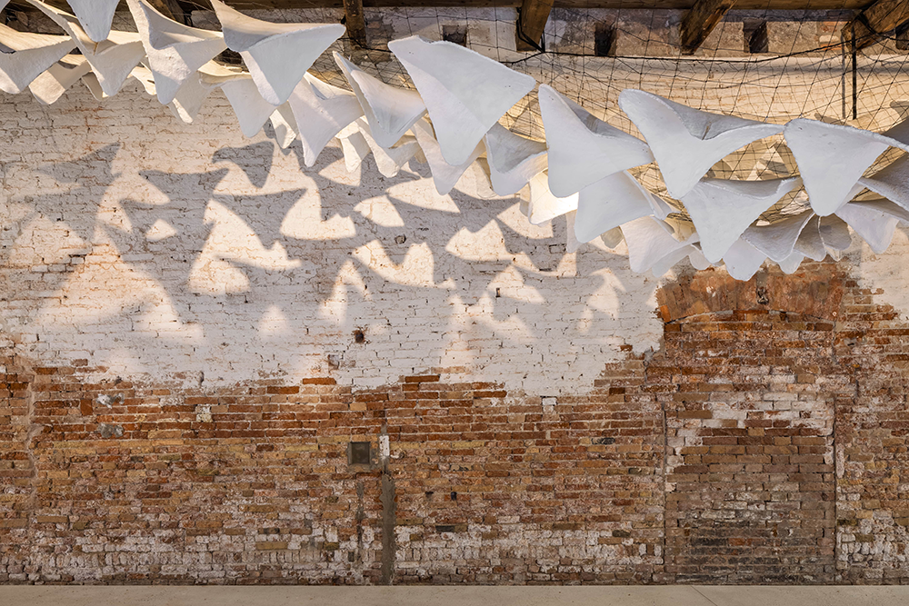 Flight into Shadow. Photo Credits: Jacopo La Forgia.