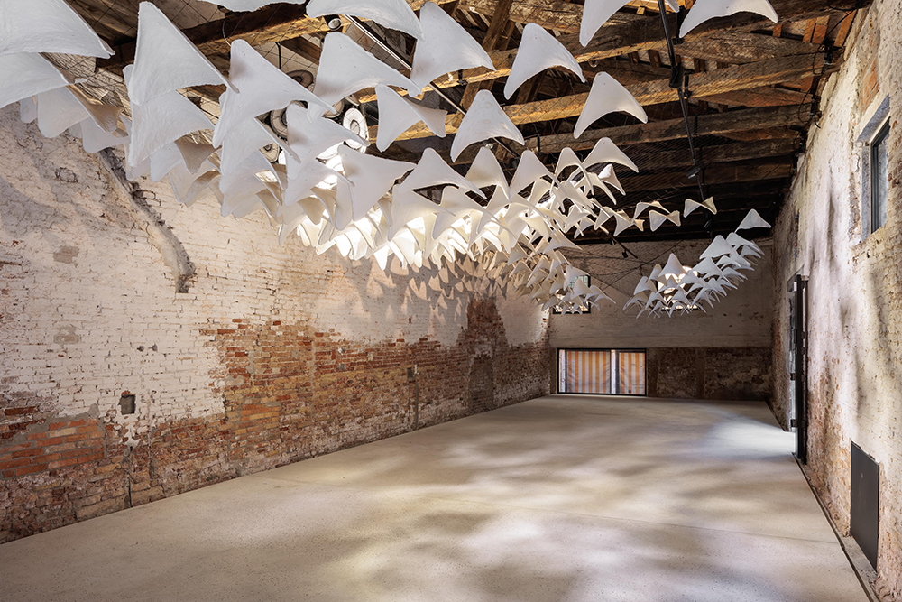 Flight into Shadow. Photo Credits: Jacopo La Forgia.